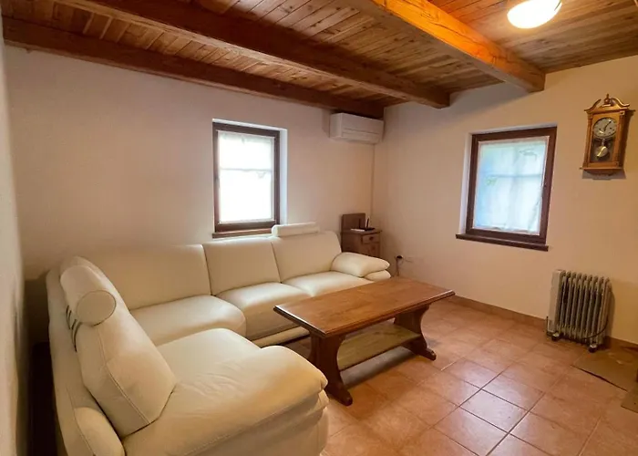 Hisa Kranjc * 코바리드